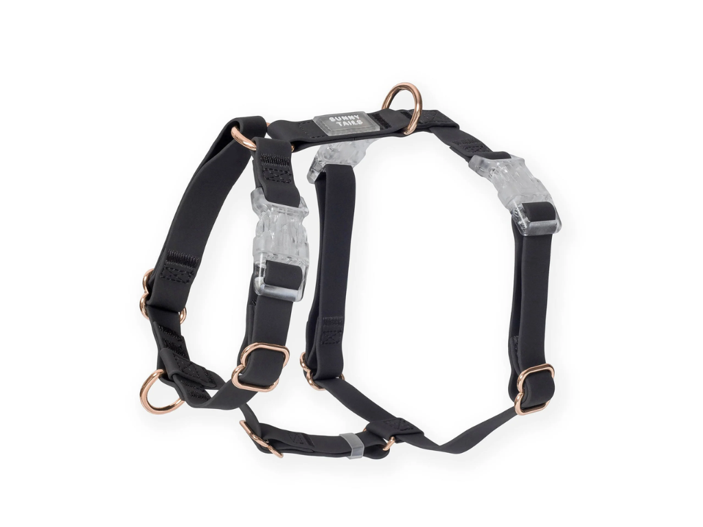 Sunny Tails | Ember Black Cloud Lite Dog Harness