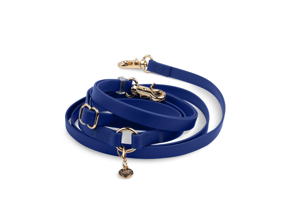 Sunny Tails | 4-in-1 Convertible Hands Free Cloud Dog Leash