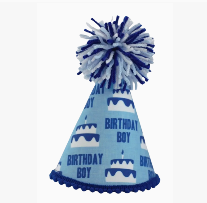 Pup Party Hats | Birthday Boy | Blue