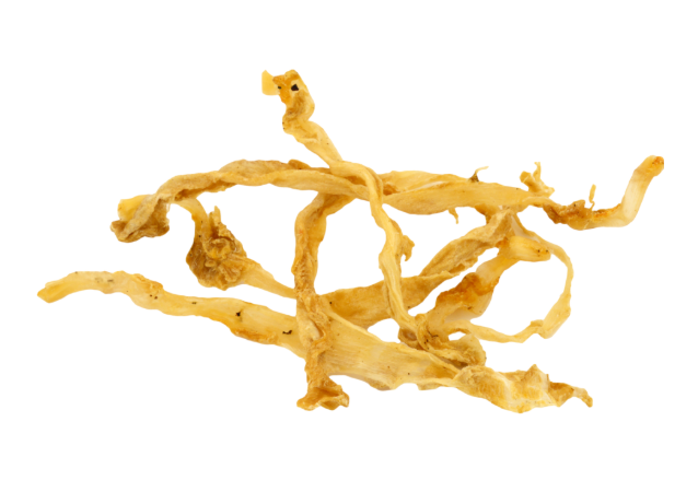 Turkey Tendon | Single
