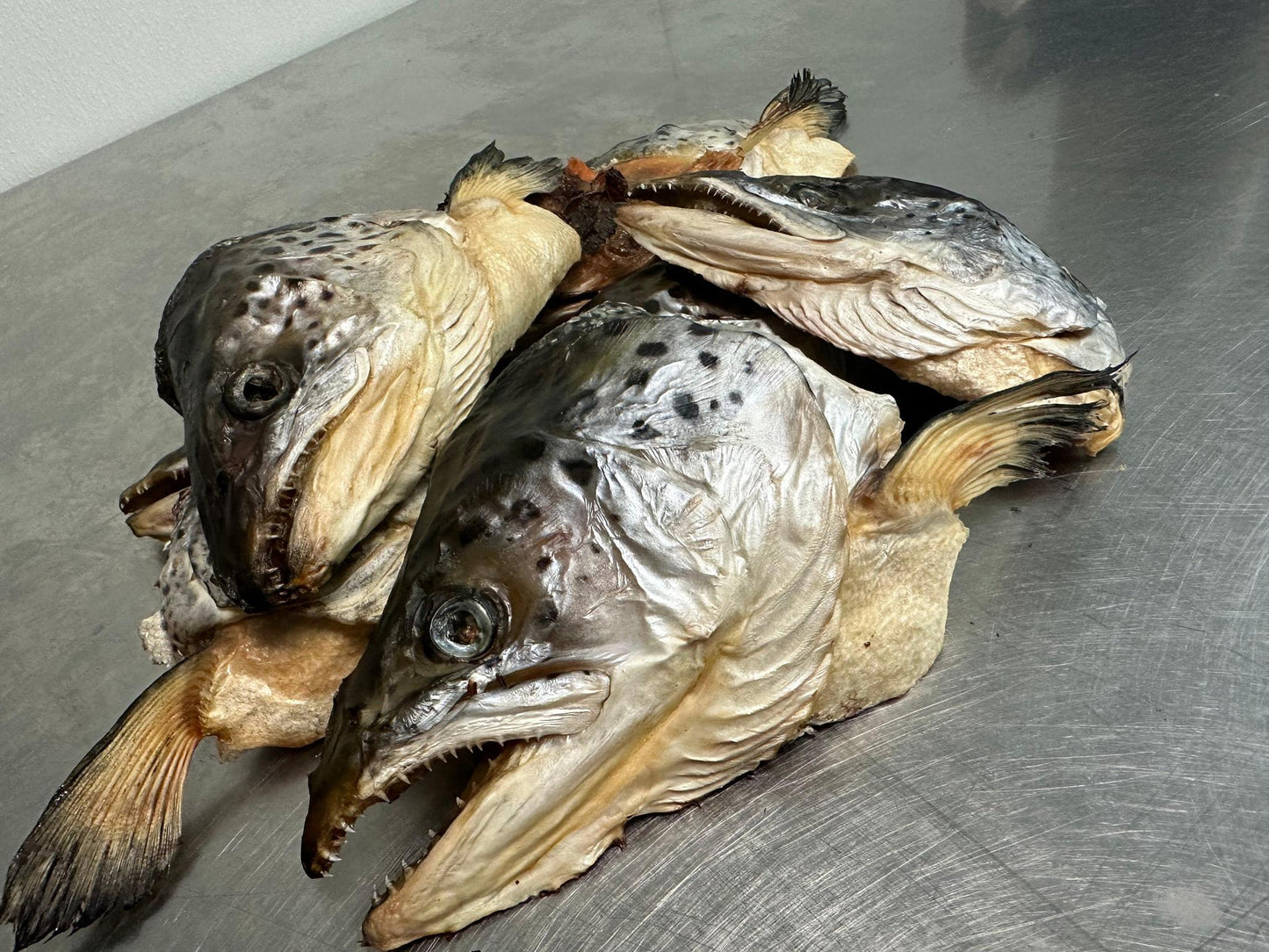 Salmon Head | Dehydrated