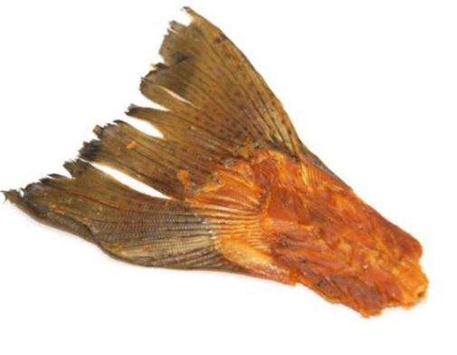 Salmon Tail