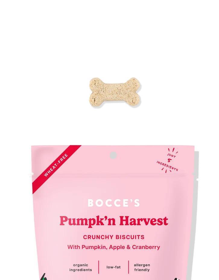 Bocce's | Pumpk'n Harvest Crunchy Biscuits
