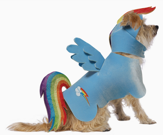 California Costumes | My Little Pony | Rainbow Dash | Halloween