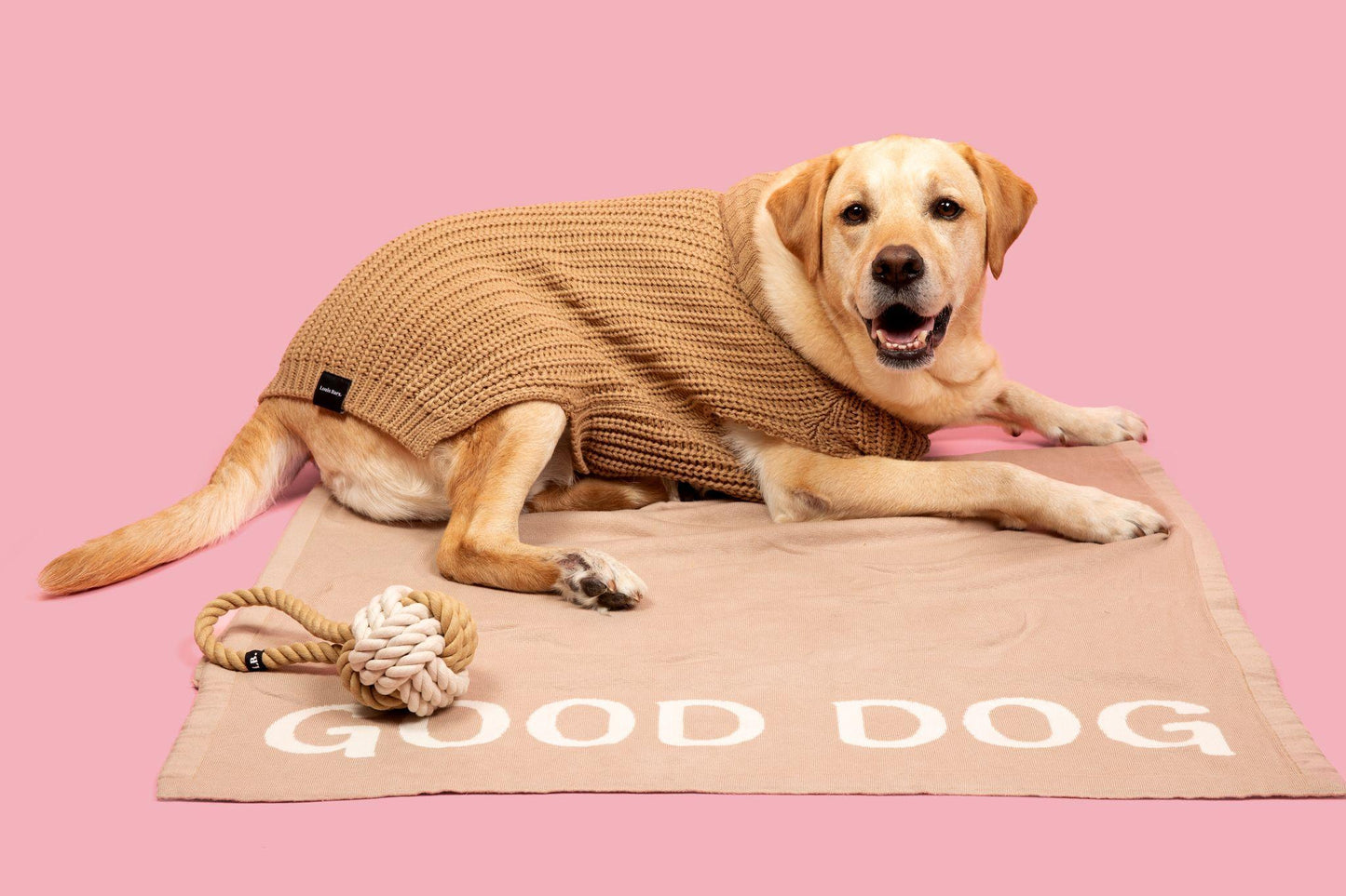 Louis Barx | "Good Dog" | Dog Cozy Blanket