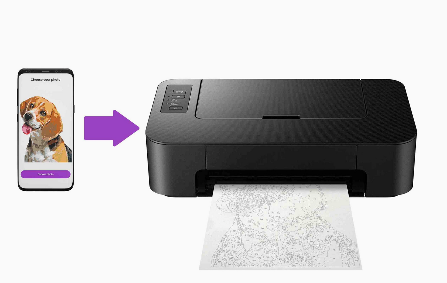 Paint Your Photo | Pets Edition | 48 paints