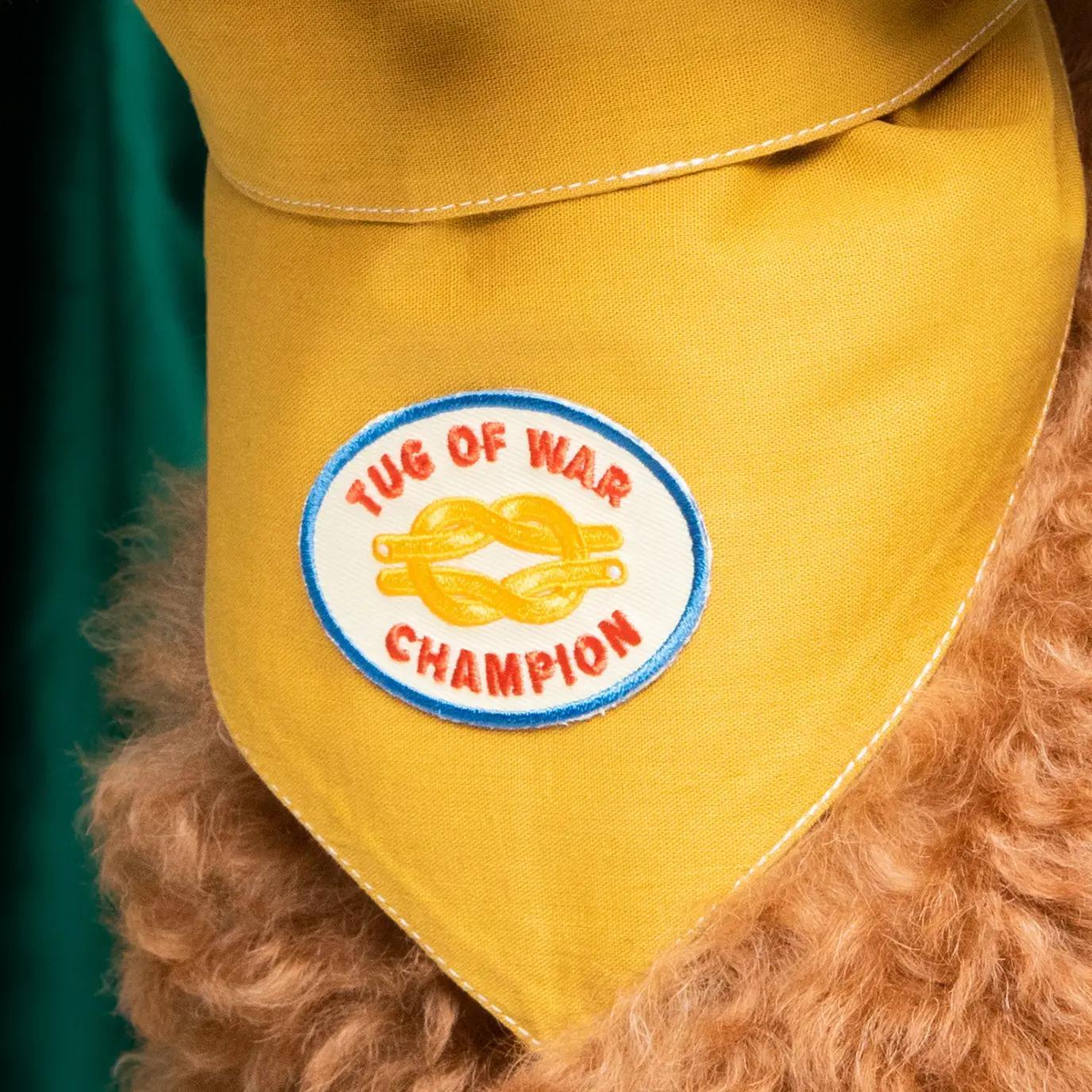 Scout's Honour | Tug of War Champion Patch