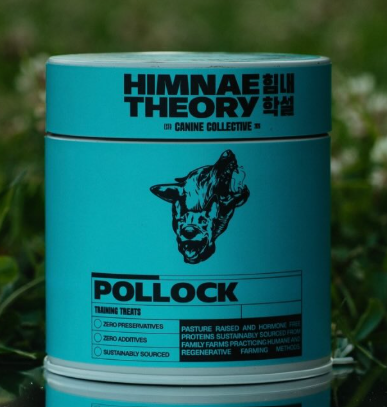 Himnae Theory| Pollock |Canine Collective
