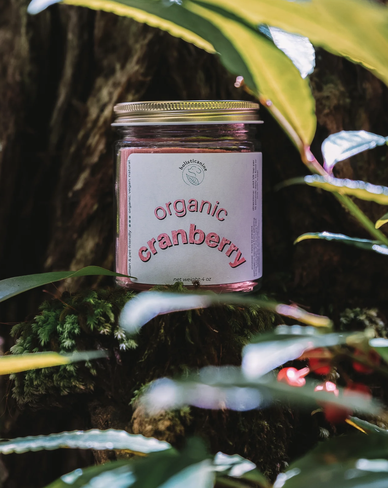 Holisticanine | Organic Cranberry | Urinary Tract and Immune Support Supplement