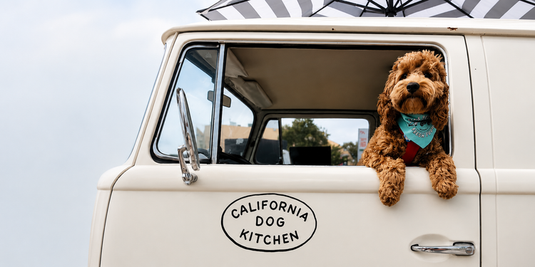 California Dog Kitchen