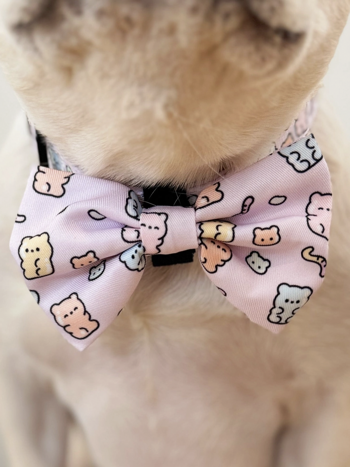 Korriko | Gummy Bear Bow Tie