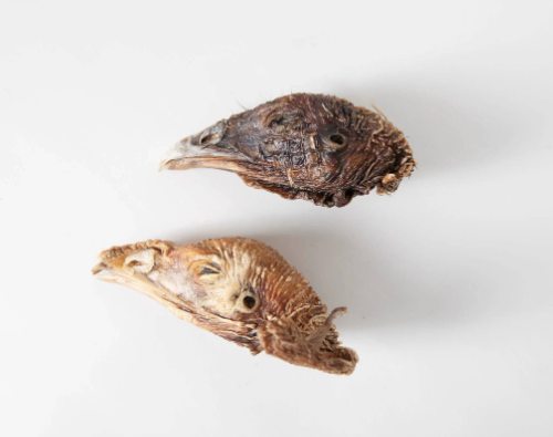 Turkey Head | Dehydrated