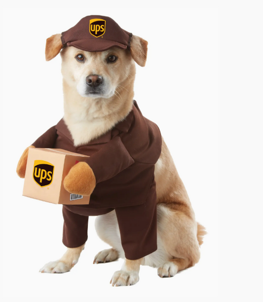 California Costumes | UPS Pal | Halloween