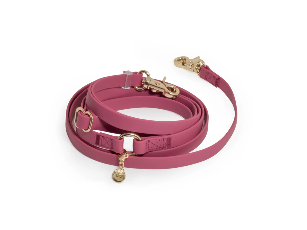 Sunny Tails | 4-in-1 Convertible Hands Free Cloud Dog Leash