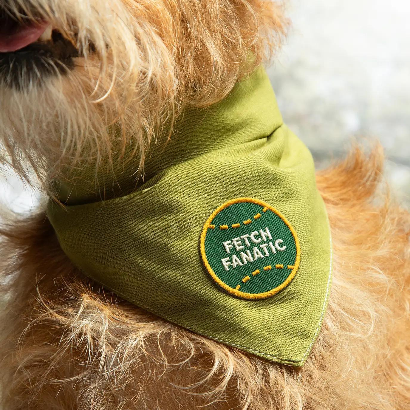 Scout's Honour | Fetch Fanatic Patch