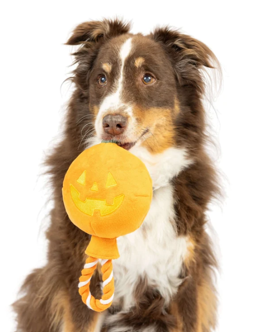 Huxley & Kent | Jack O Lantern Safety Pop | Halloween