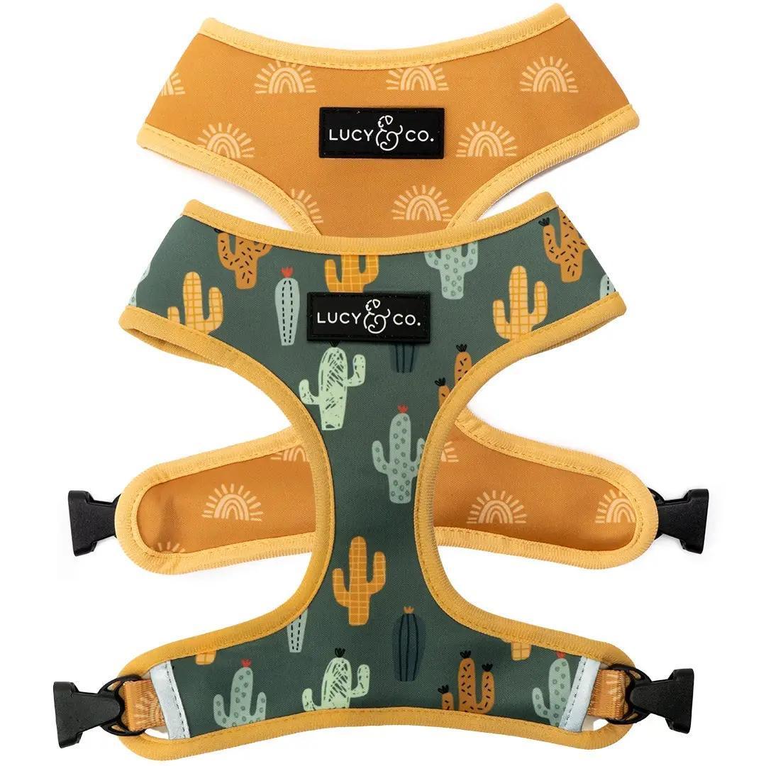Lucy & Co. | Looking Sharp Reversible Harness