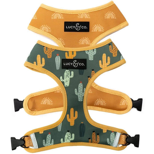 Lucy & Co. | Looking Sharp Reversible Harness
