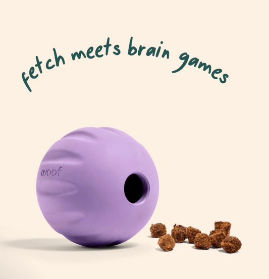 Woof | Flyball |Lavender