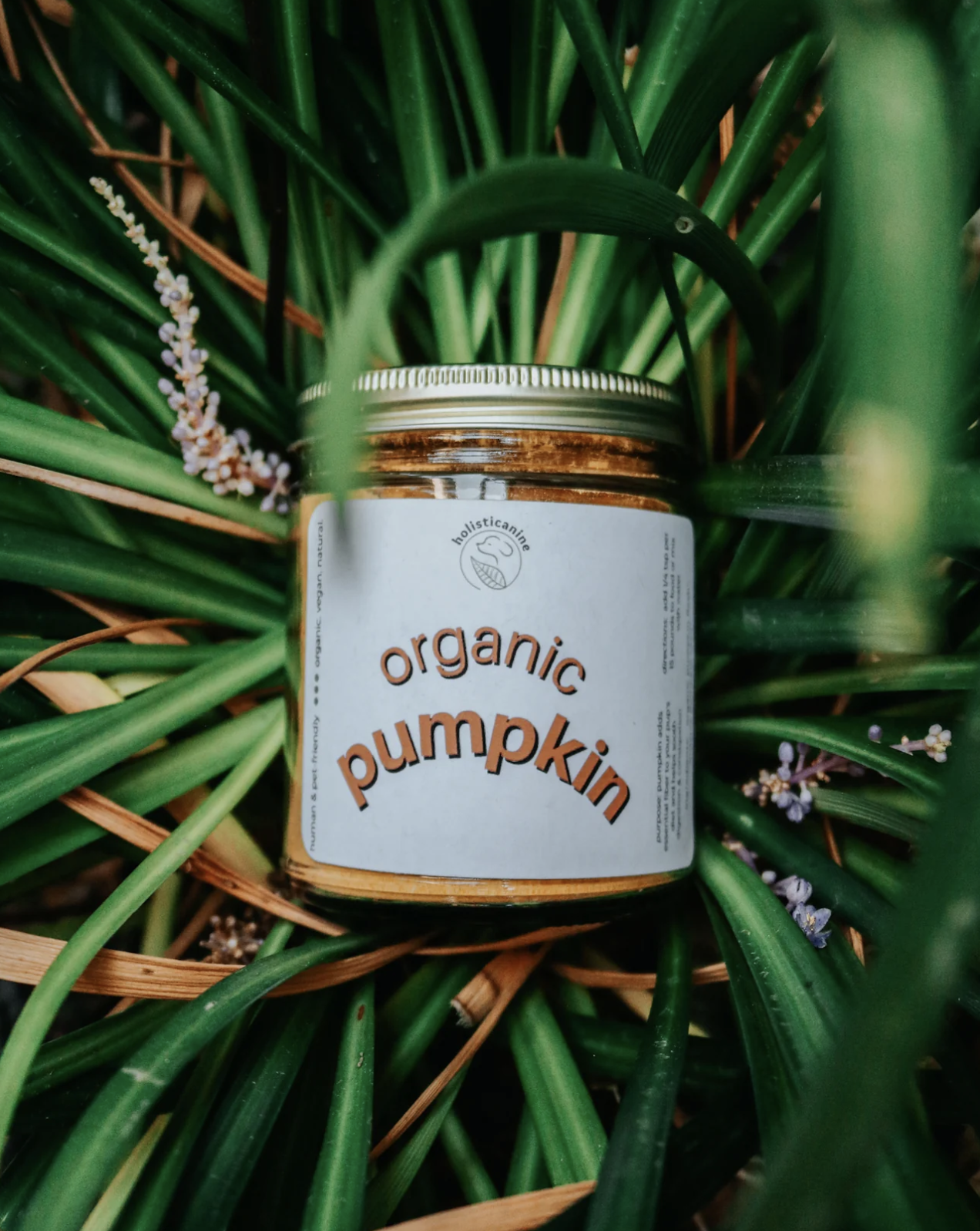 Holisticanine | Organic Pumpkin | Digestive & Fiber Supplement