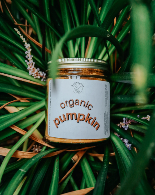 Holisticanine | Organic Pumpkin | Digestive & Fiber Supplement