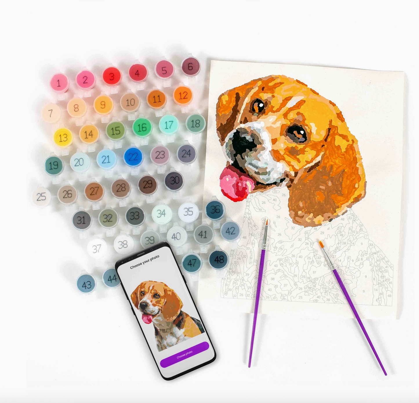 Paint Your Photo | Pets Edition | 48 paints