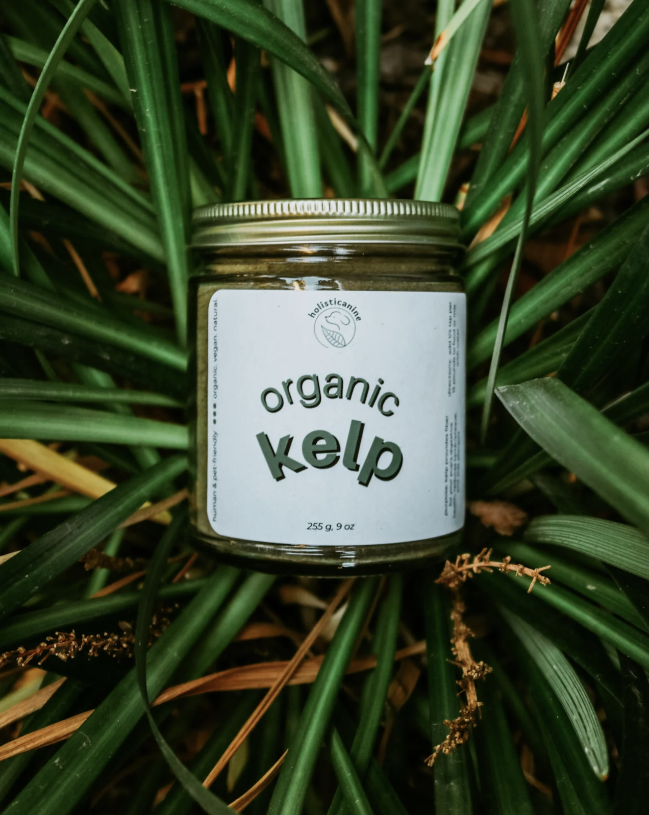 Holisticanine | Organic Kelp | Skin + Coat, Dental, Allergy Supplement