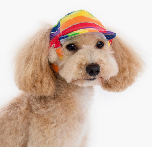 Dogo | Rainbow Hat