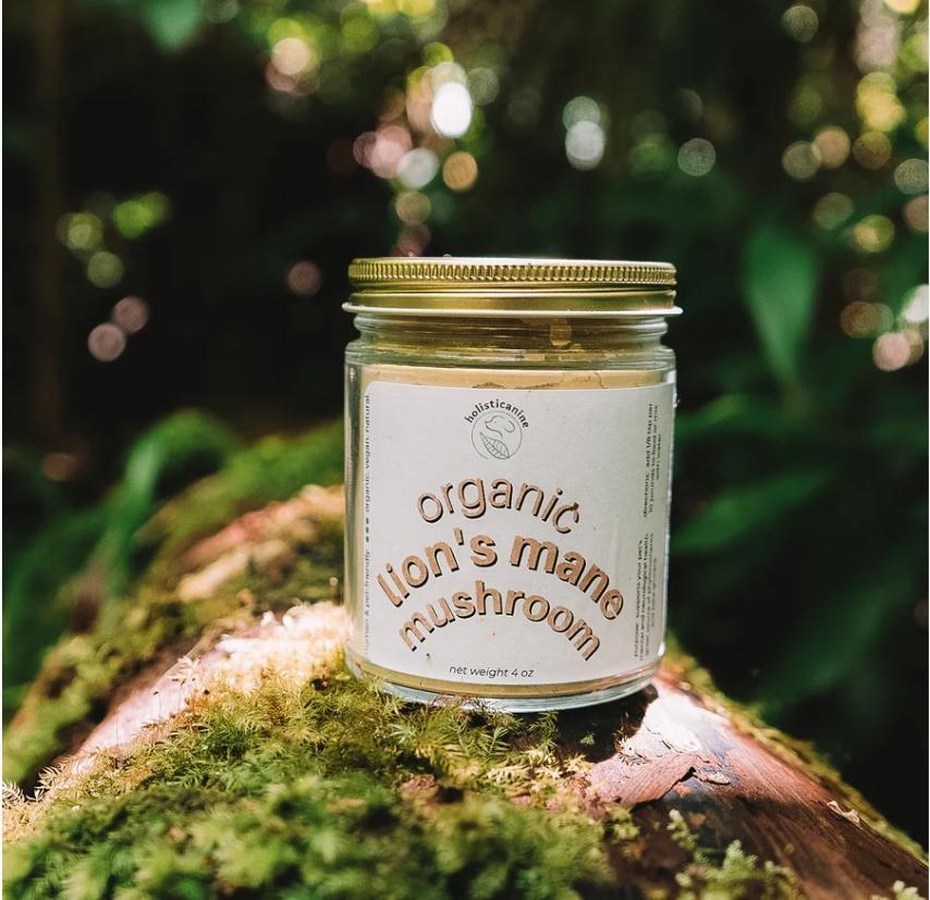 Holisticanine | Organic Lion's Mane Mushroom | Neurological and Immune Support Supplement