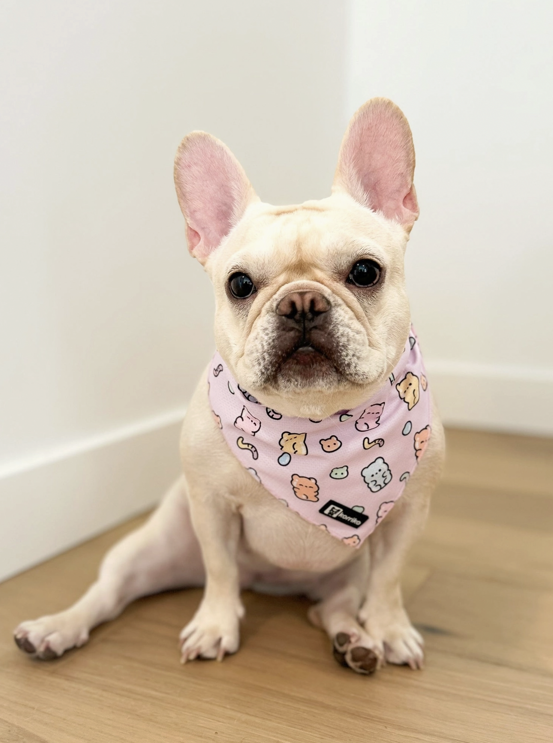 Korriko | Gummy Bear Cooling Bandana