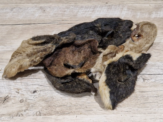 Goat Snout | Dehydrated