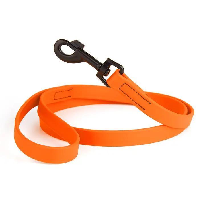 DogLine | Biothane Waterproof Dog Leash | 6ft