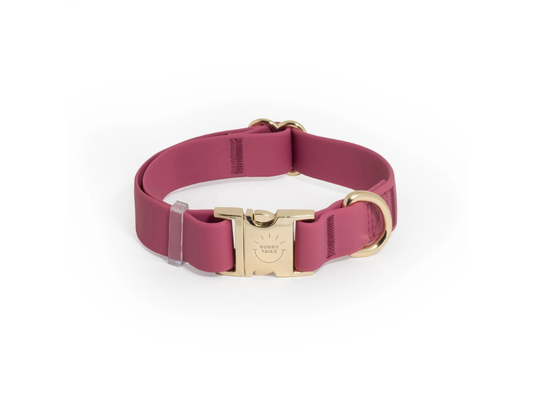 Sunny Tails | Mulberry Burgundy Waterproof Dog Collar