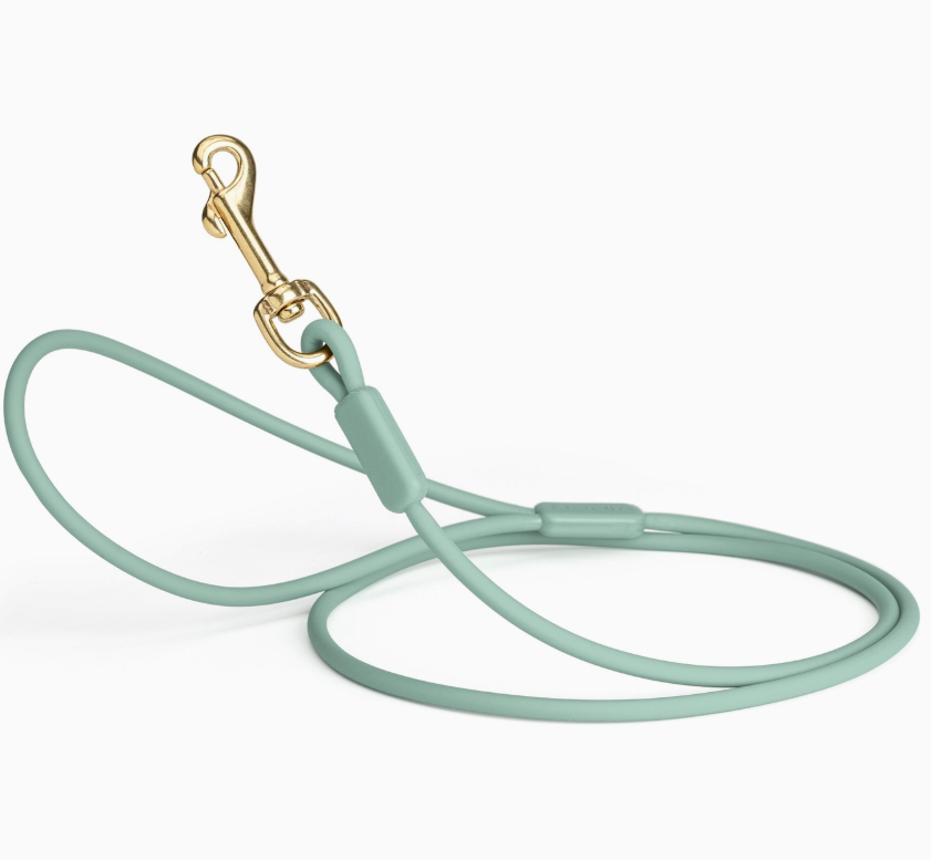 Viper | Dog Lead | Sage