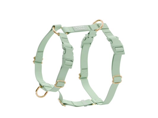 Sunny Tails | Pistachio Green Cloud Lite Dog Harness