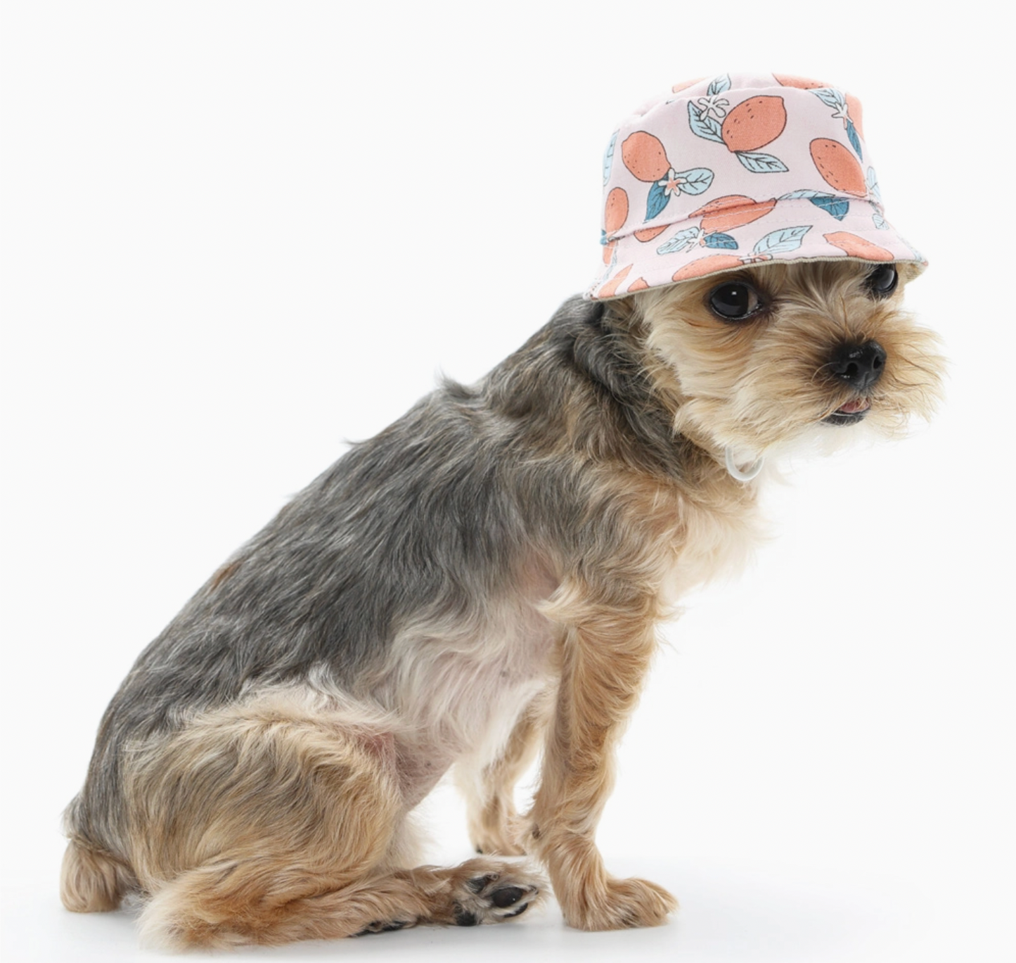 Dogo | Bucket Hat Lemon Pink