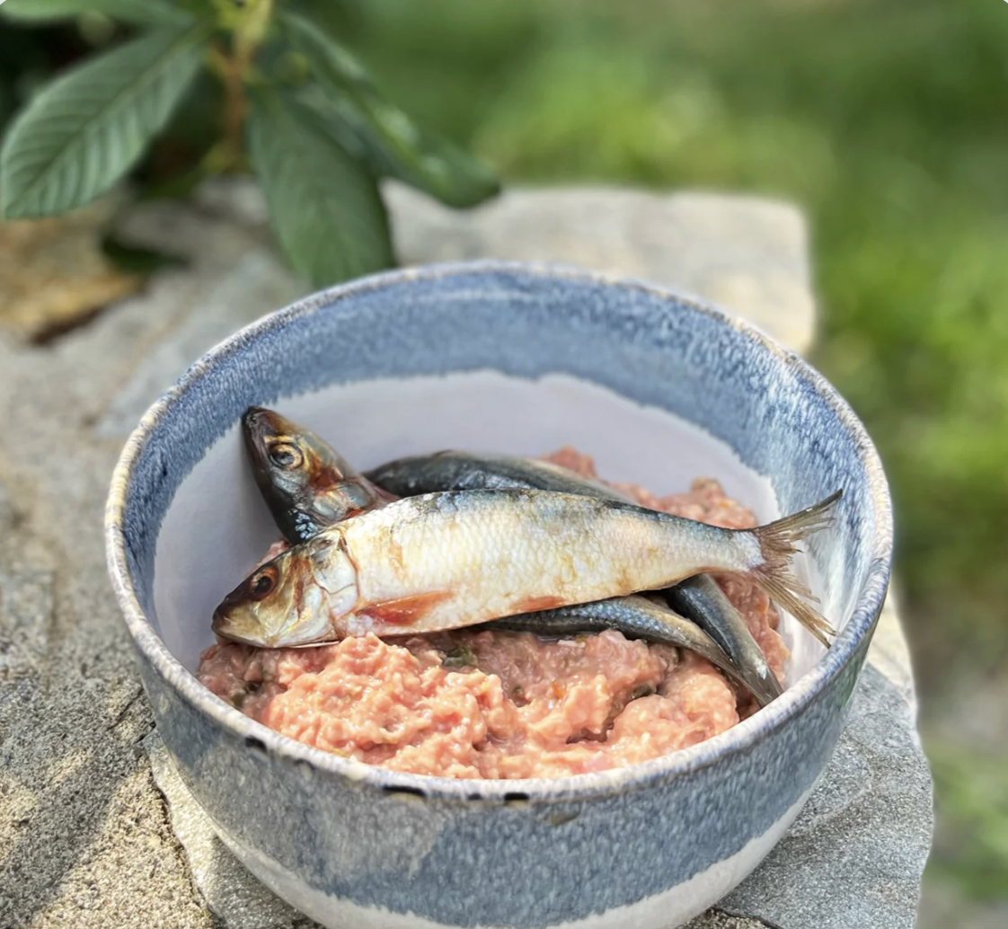 Oma's Pride | Frozen Whole Sardine | 1lb