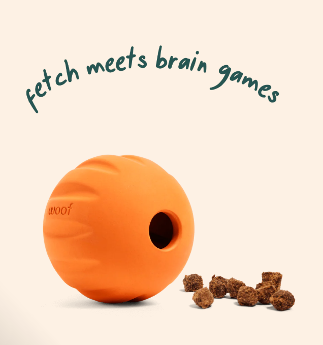 Woof | Flyball |Orange