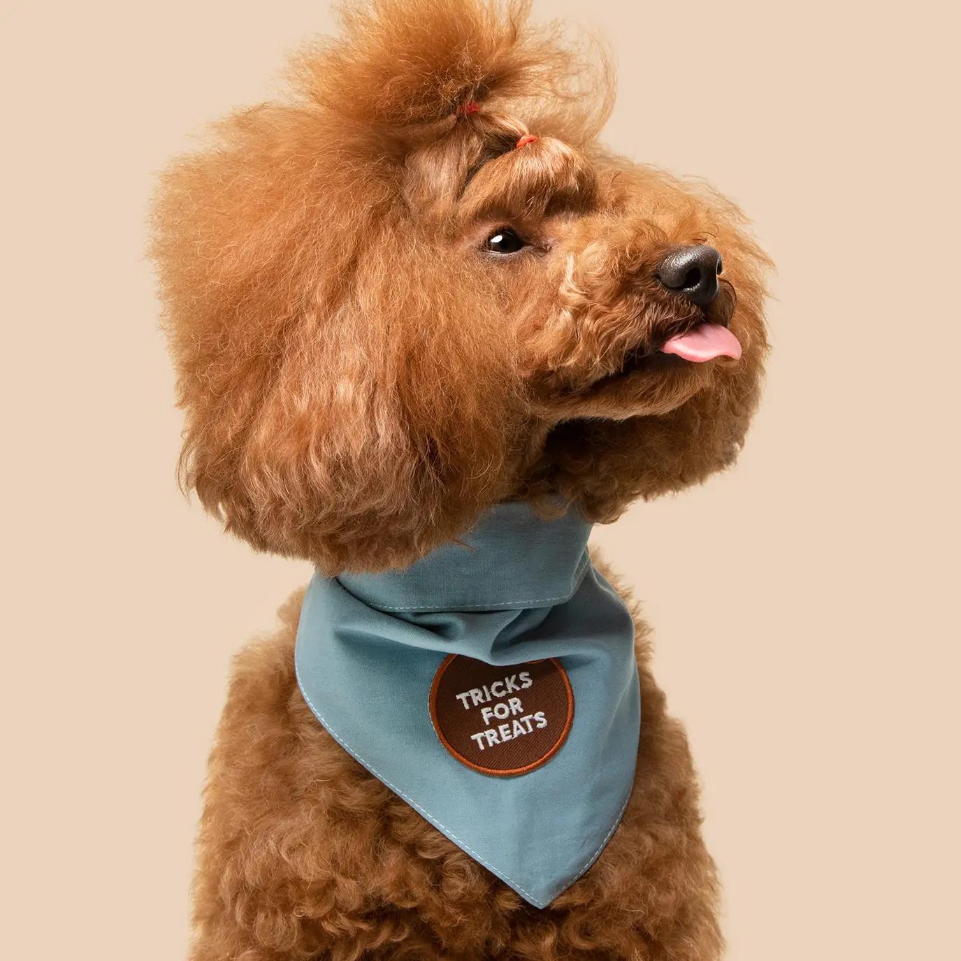 Scout's Honour | Tricks for Treats Patch