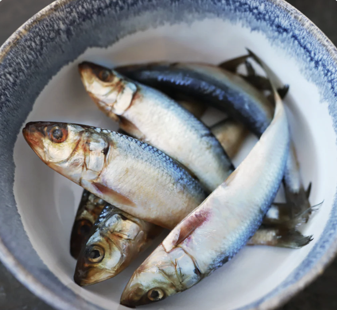 Oma's Pride | Frozen Whole Sardine | 1lb