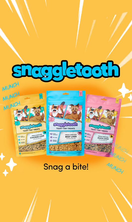 Snaggletooth | Teeny Tiny Treats
