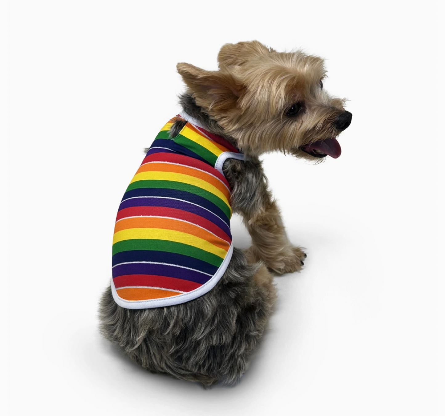 Dogo | Rainbow Tank