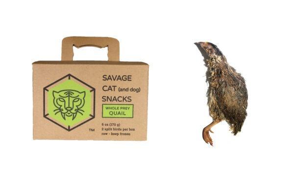 Savage Cat | Frozen Whole Prey Quail | 6 oz