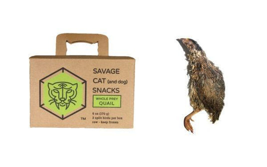 Savage Cat | Frozen Whole Prey Quail | 6 oz