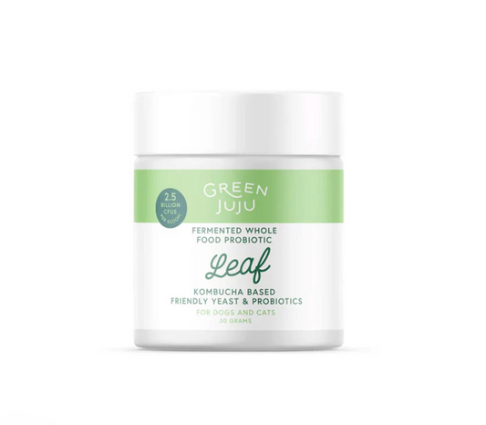 Green Juju | Leaf - Fermented | Kombucha-Based Probiotic