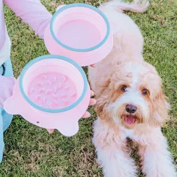 Specks | Snack & Go Portable Pet Slow Feeder & Water Bowl