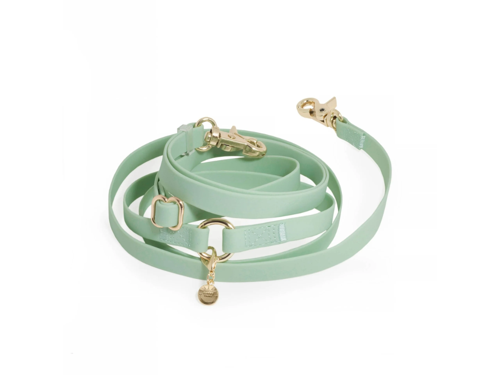 Sunny Tails | 4-in-1 Convertible Hands Free Cloud Dog Leash