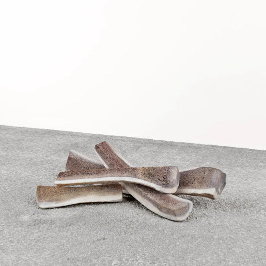 Primal | Split Elk Antler | Medium