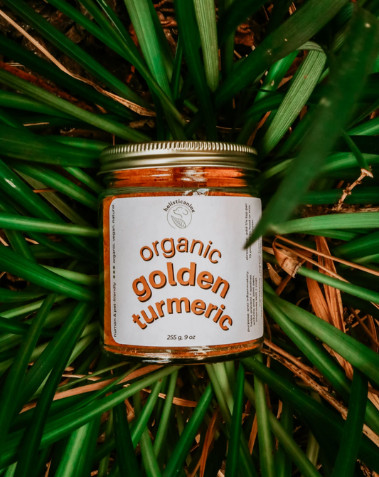 Holisticanine | Organic Golden Turmeric | Anti-Inflammatory, Arthritis + Joint Relief Supplement