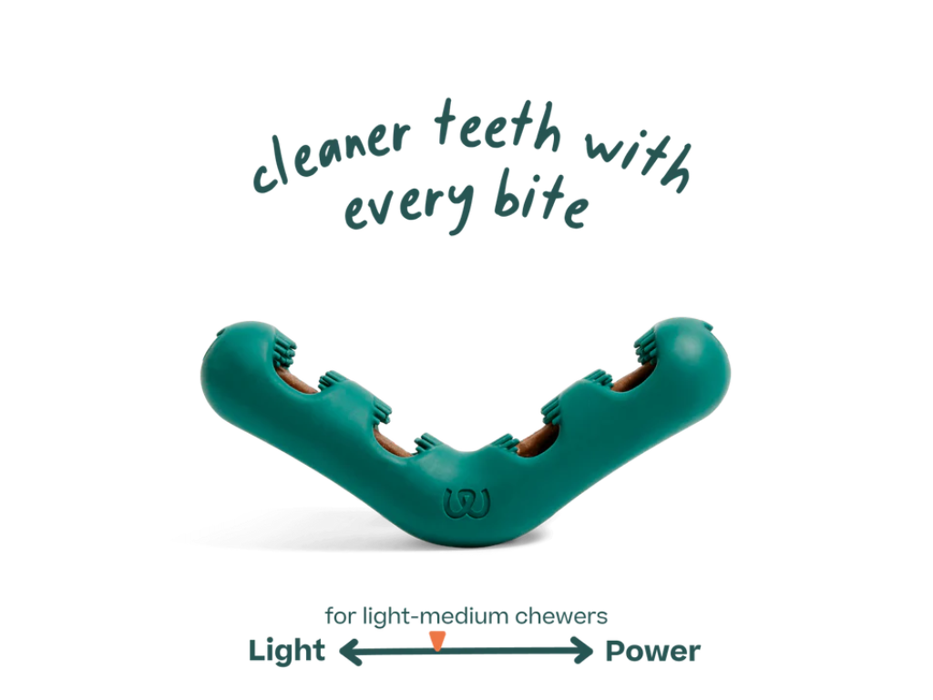 Woof | The Bite n' Brush